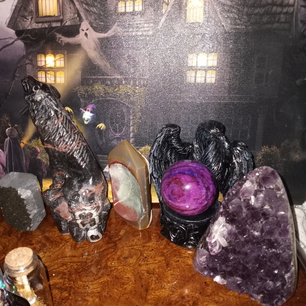 Contest - Picture 6 of 10